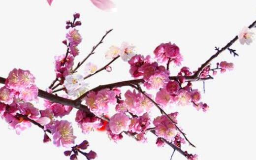 2025年六月份吉日吉时 2025年六月份日历表