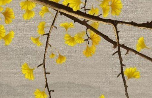 本命年狗带生肖兔好吗,本命年狗戴什么好