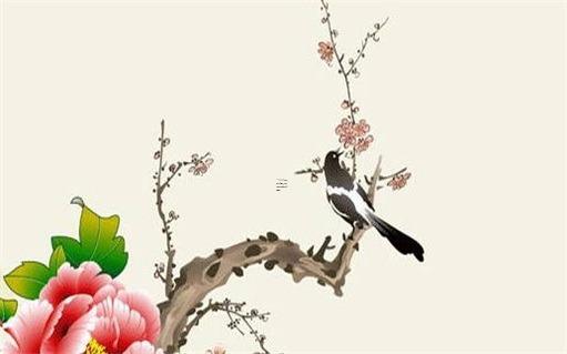 属兔人在本命年适合搬家吗,属兔的人可以在本命年结婚吗