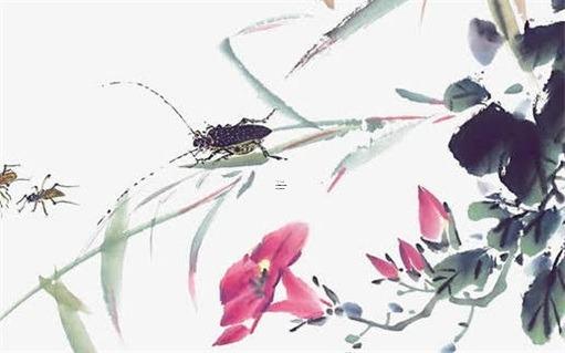 本命年属兔带红色貔貅好吗男,属兔佩戴貔貅好吗