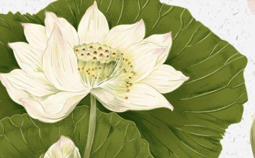 2025四六月开业吉日 2025年6月最旺开业吉日有哪些